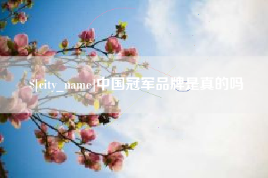 沂南中国冠军品牌是真的吗