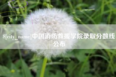 沂南中国消防救援学院录取分数线公布
