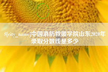 沂南中国消防救援学院山东2020年录取分数线是多少