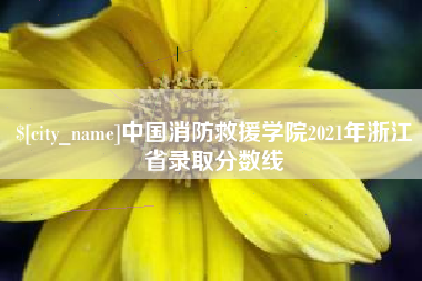 沂南中国消防救援学院2021年浙江省录取分数线