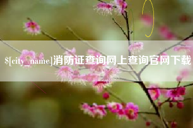 沂南消防证查询网上查询官网下载