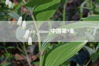 沂南中国第9金