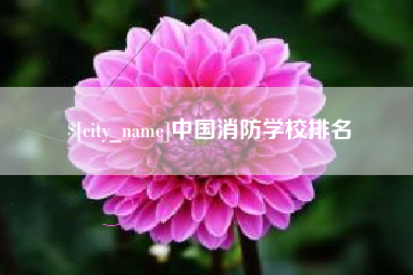 沂南中国消防学校排名