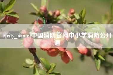沂南中国消防官网中小学消防公开课