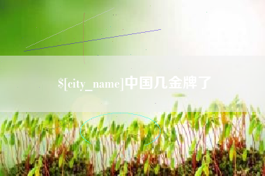 沂南中国几金牌了