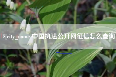 沂南中国执法公开网征信怎么查询