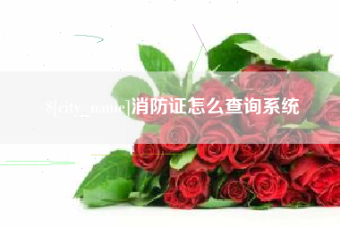 沂南消防证怎么查询系统