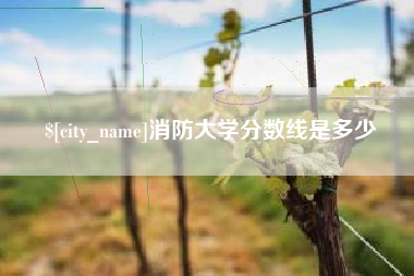 沂南消防大学分数线是多少