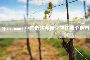 沂南中国消防救援学院在那个地方
