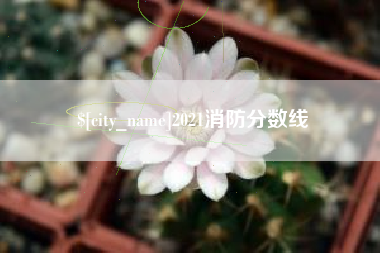 沂南2021消防分数线