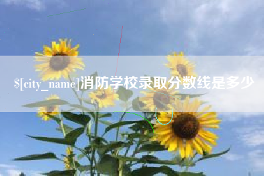 沂南消防学校录取分数线是多少