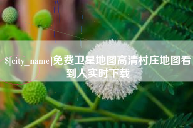 沂南免费卫星地图高清村庄地图看到人实时下载