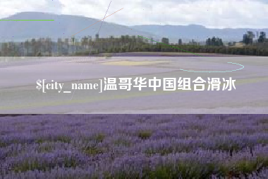 沂南温哥华中国组合滑冰