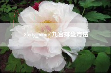 沂南九宫排盘方法