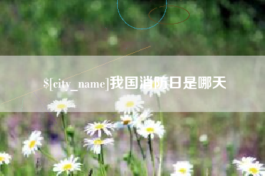 沂南我国消防日是哪天
