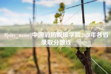 沂南中国消防救援学院2020年各省录取分数线