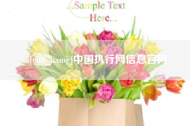 沂南中国执行网信息官网