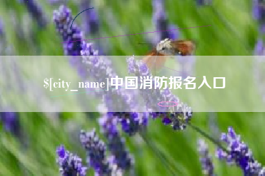 沂南中国消防报名入口