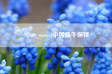 沂南中国最牛保镖