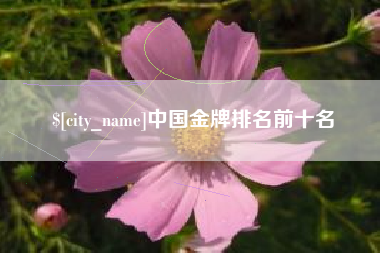 沂南中国金牌排名前十名