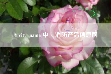 沂南中囯消防产品信息网