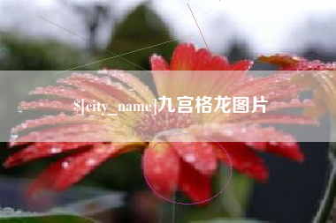 沂南九宫格龙图片
