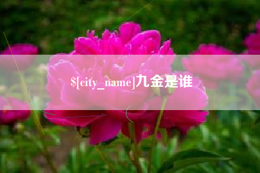 沂南九金是谁