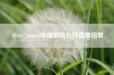 沂南中国消防在线直播回放