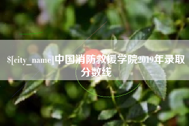 沂南中国消防救援学院2019年录取分数线