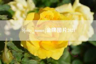 沂南金牌图片2021