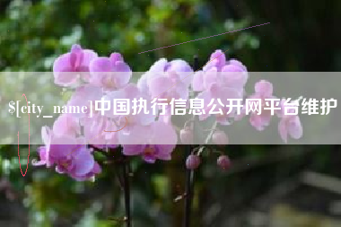 沂南中国执行信息公开网平台维护