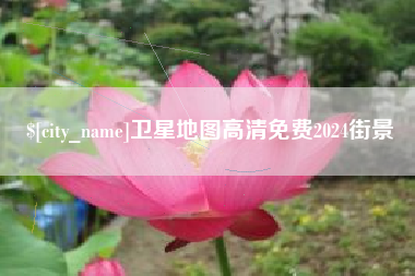 沂南卫星地图高清免费2024街景