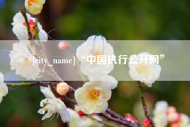 沂南“中国执行公开网”