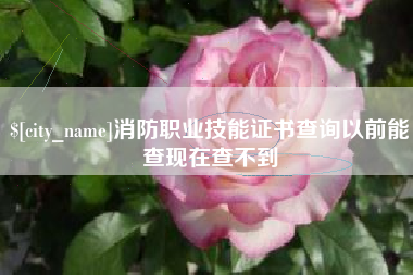 沂南消防职业技能证书查询以前能查现在查不到