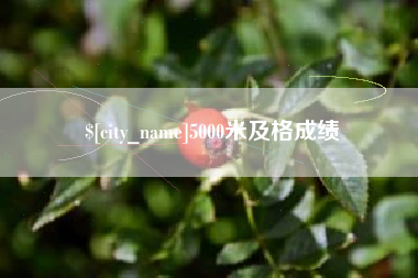 沂南5000米及格成绩