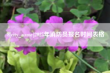 沂南2025年消防员报名时间表格