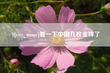 沂南看一下中国几枚金牌了