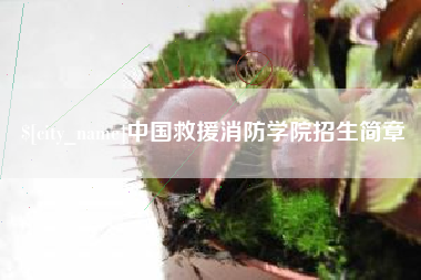沂南中国救援消防学院招生简章