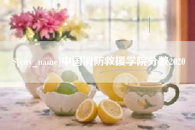 沂南中国消防救援学院分数2020