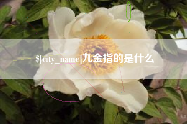 沂南九金指的是什么