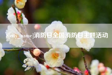 沂南消防日全国消防日主题活动