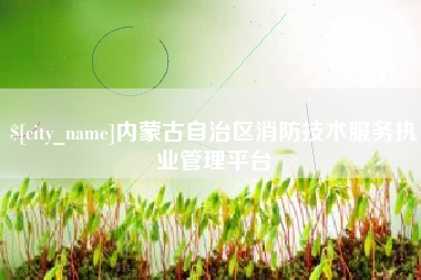沂南内蒙古自治区消防技术服务执业管理平台