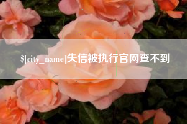 沂南失信被执行官网查不到