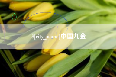 沂南中国九金