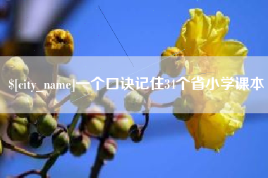 沂南一个口诀记住34个省小学课本