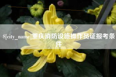 沂南重庆消防设施操作员证报考条件