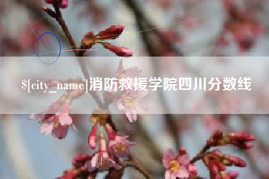 沂南消防救援学院四川分数线