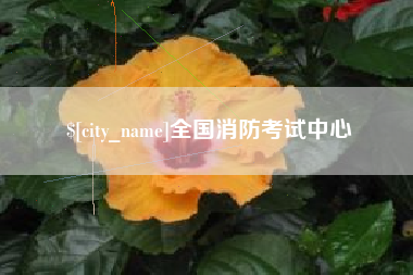 沂南全国消防考试中心