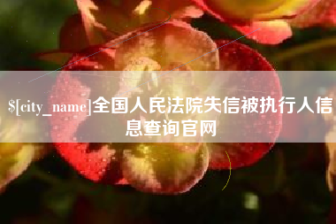 沂南全国人民法院失信被执行人信息查询官网