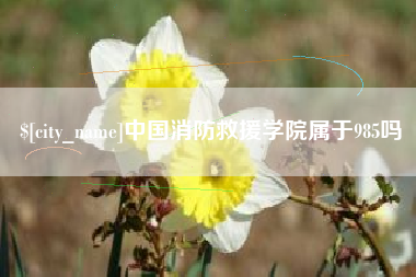 沂南中国消防救援学院属于985吗